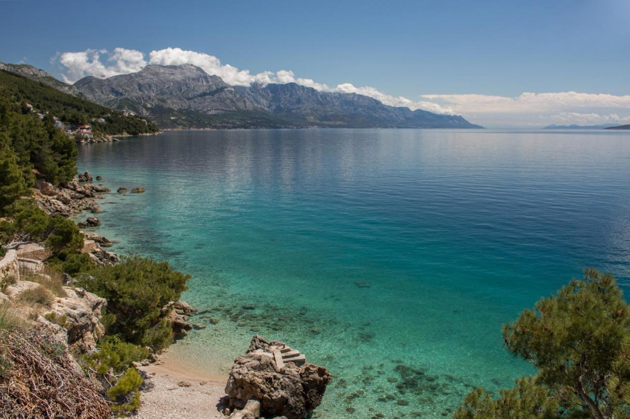 Luxury Apartman Tinel Mimice Εξωτερικό φωτογραφία